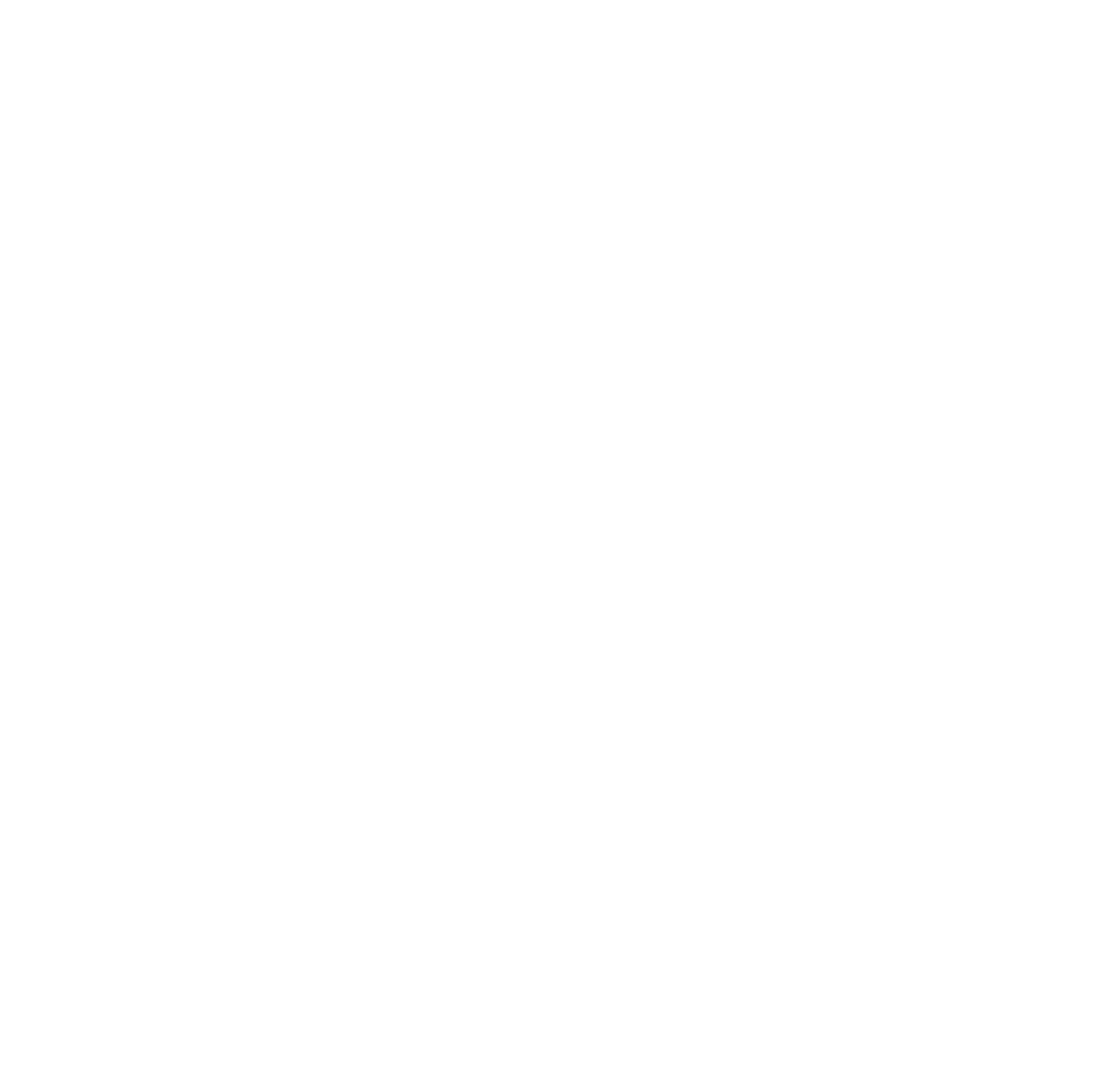 OTP Bank logo